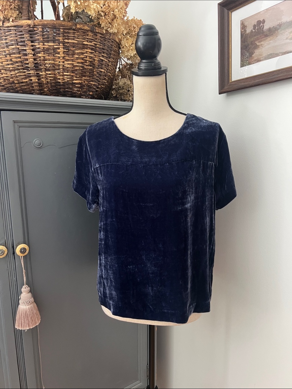 NWT J Crew Velvet Top